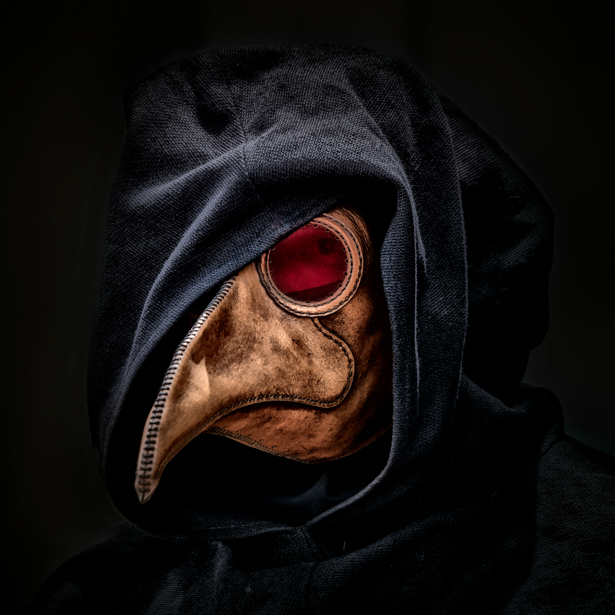 The Plague Doctor