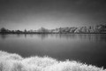 The Lake