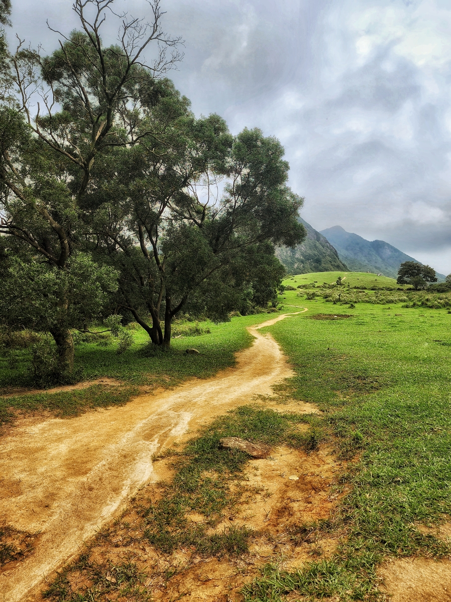trail