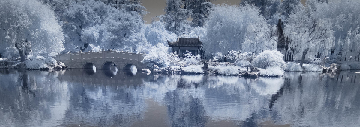 On the Lavender Pond