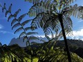 Mount Kinabalu at Dawn, Borneo