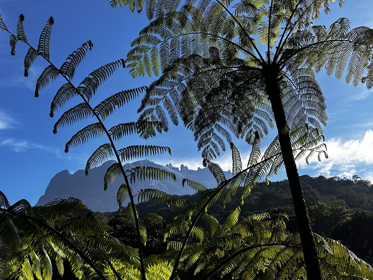 Mount Kinabalu at Dawn, Borneo