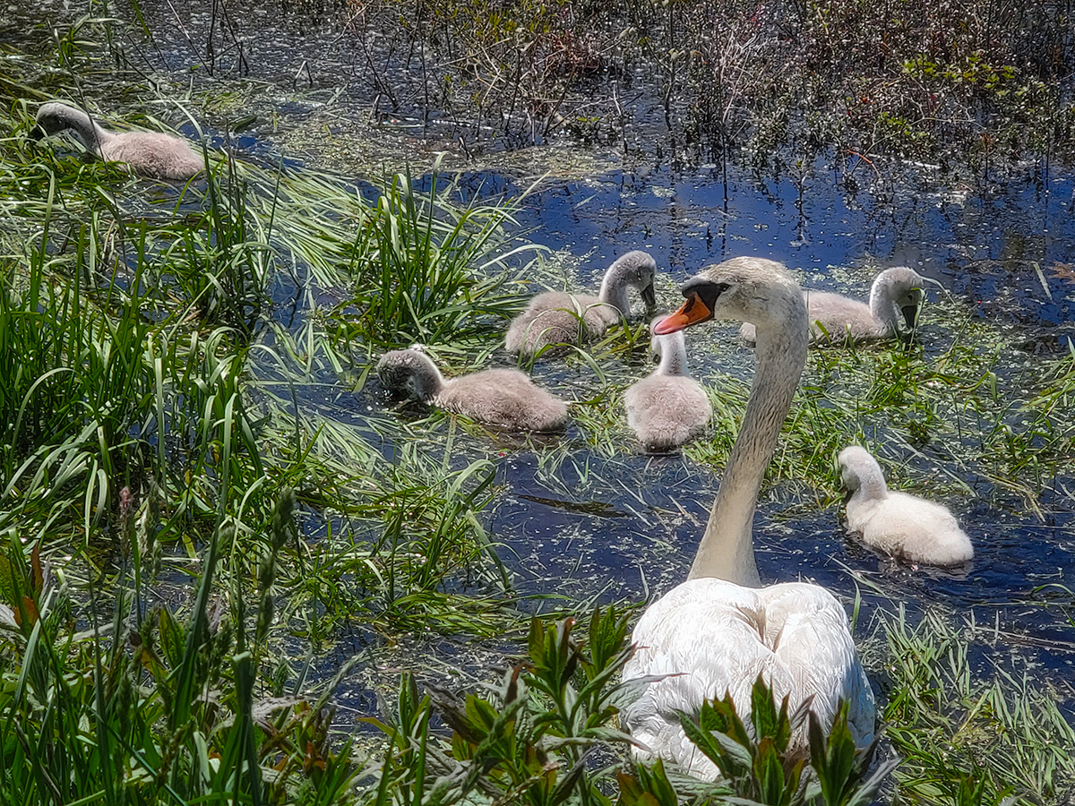 Mom's on Guard :-)