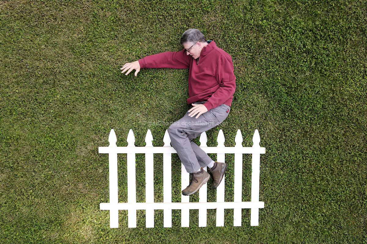 Jumped the Fence