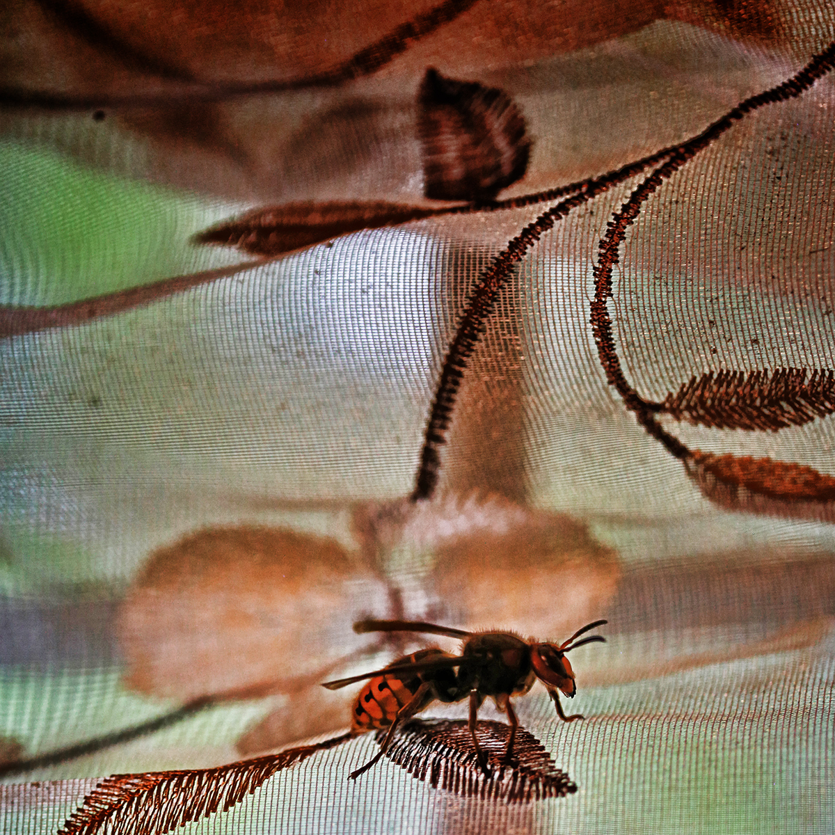 navigating embroidered leaves