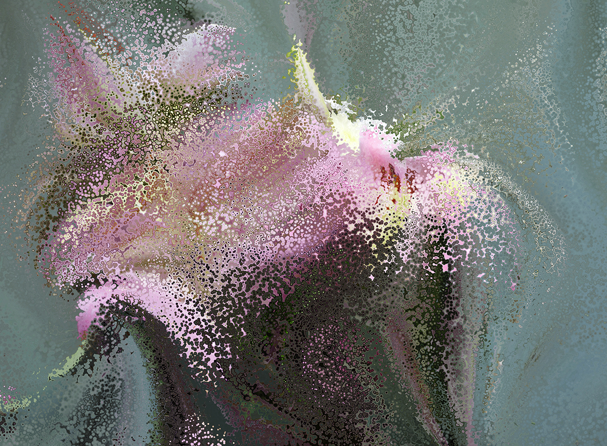 Lilies