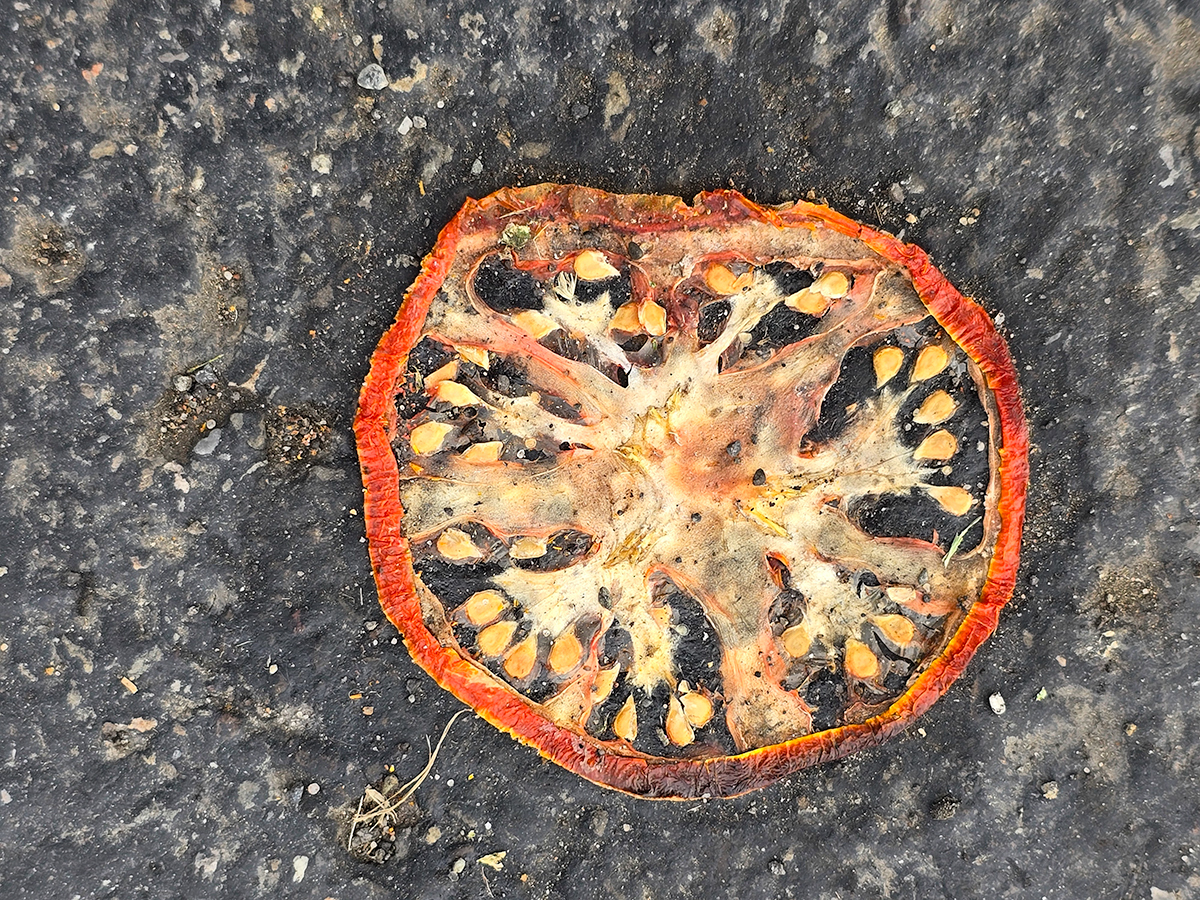 When you look where you're walking, you find stuff like this :-)