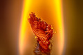 Candle end