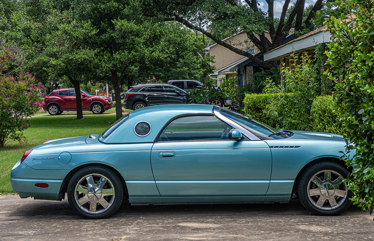cars, bushes & houses