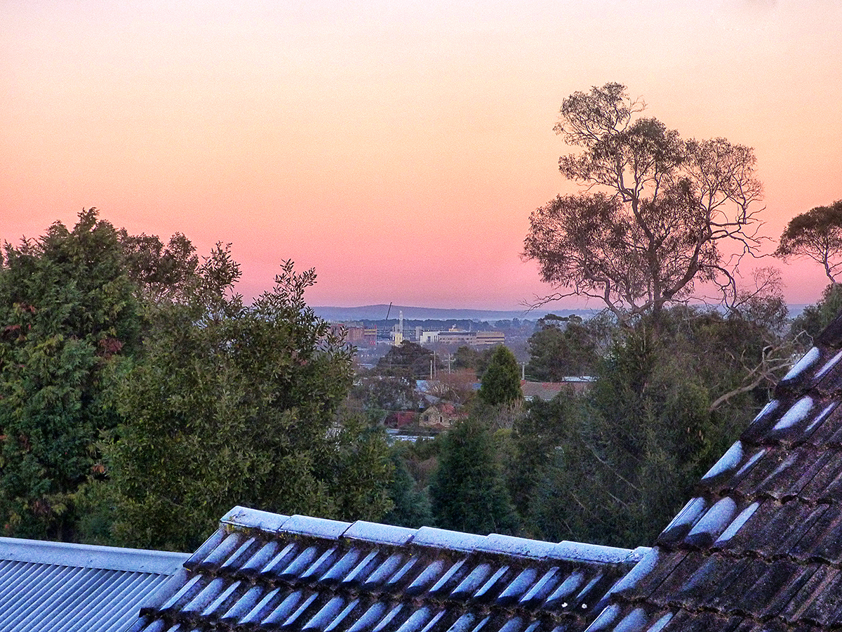 Good Morning, Mr. Frost. Thank you for the Beautiful Day.