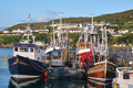 Mallaig Harbour