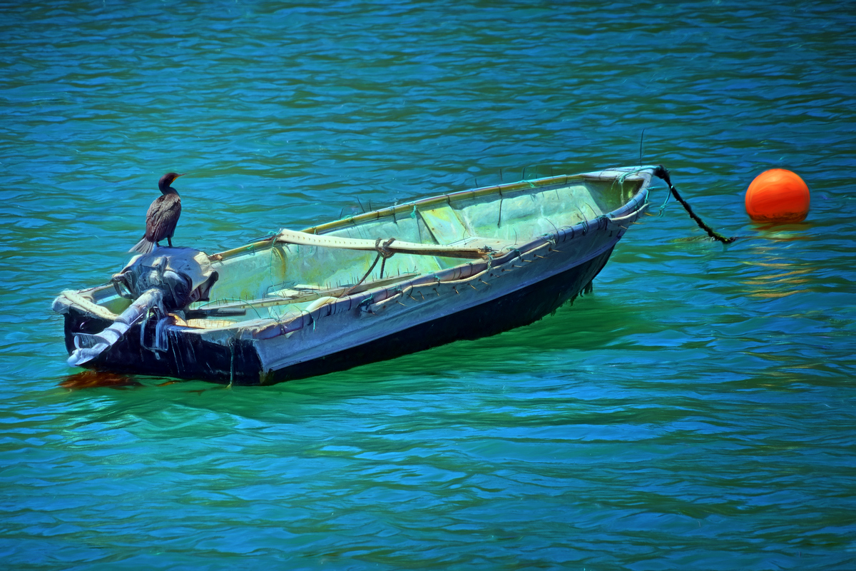 At Rest - With Cormorant