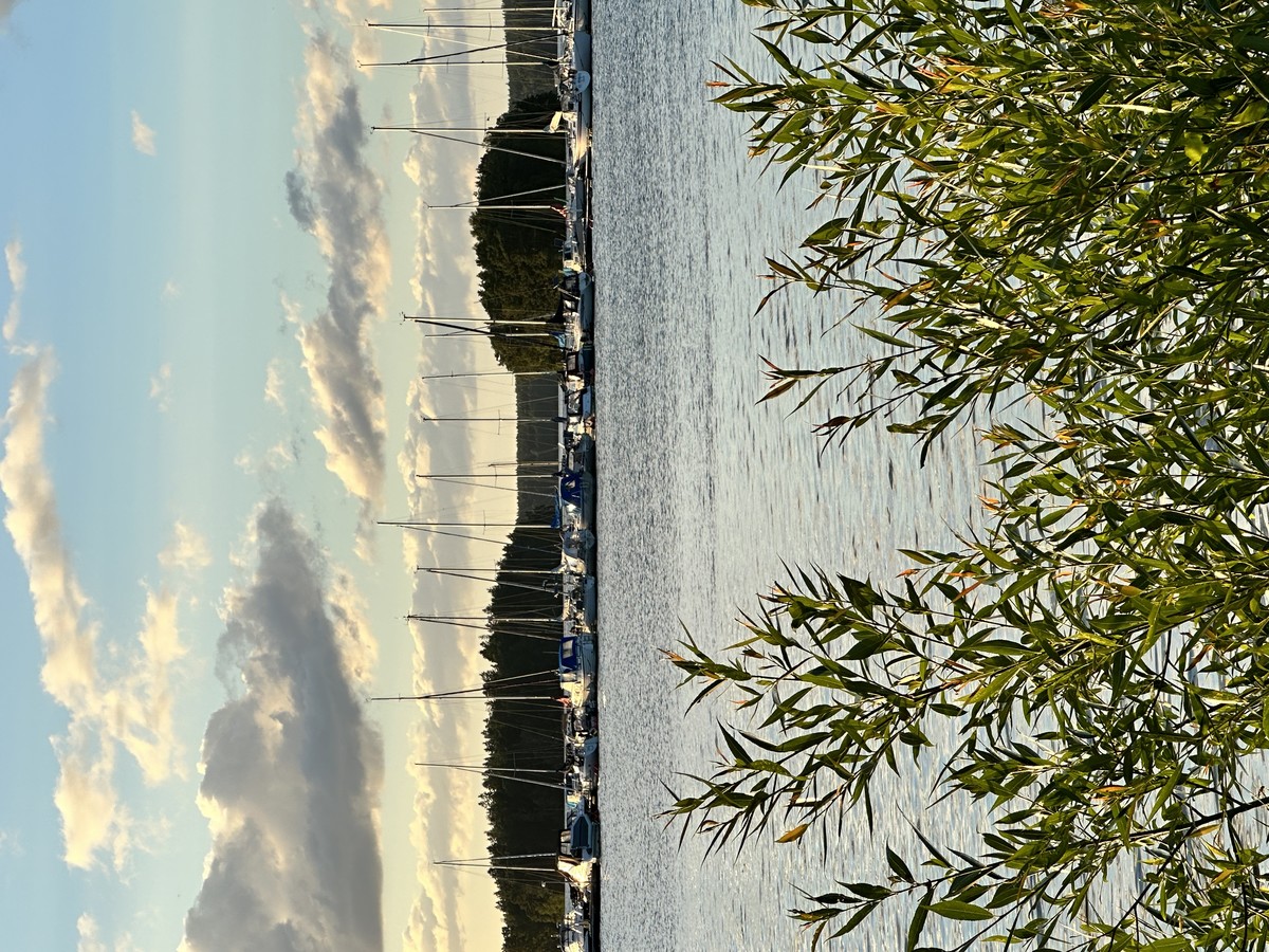 Sailboats in the evening 
