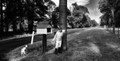 It's a long walk to the letterbox 