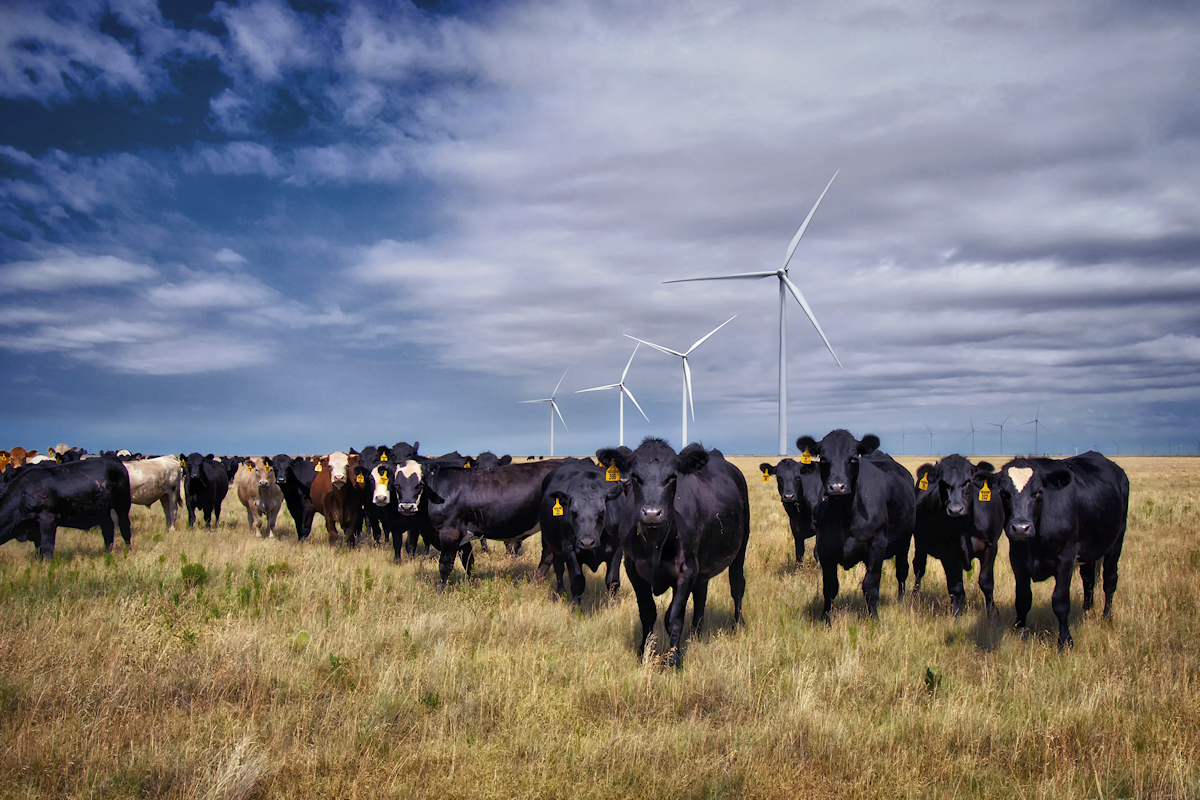 21st century farming