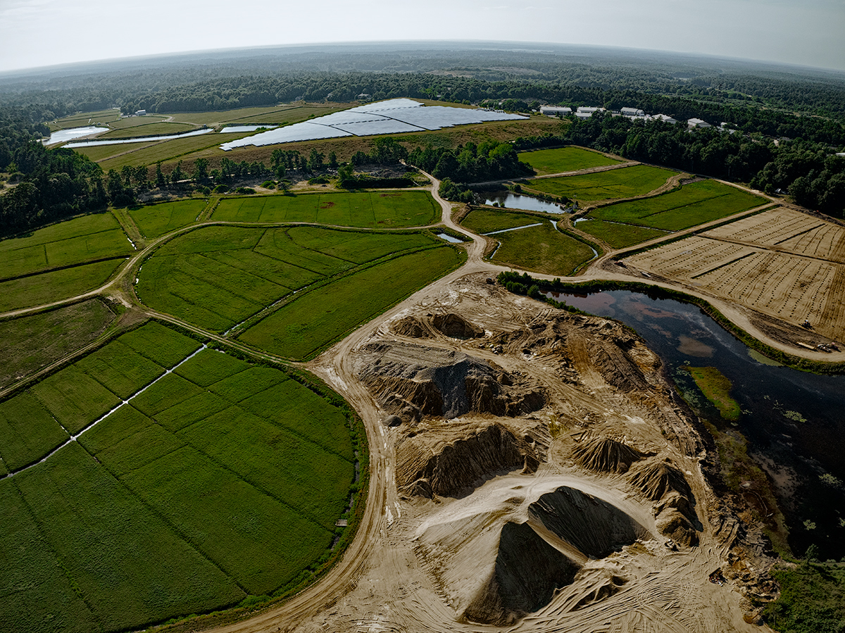Modern Life in the Boonies: Cranberry Bogs, Sand Mining, Solar Energy Farming