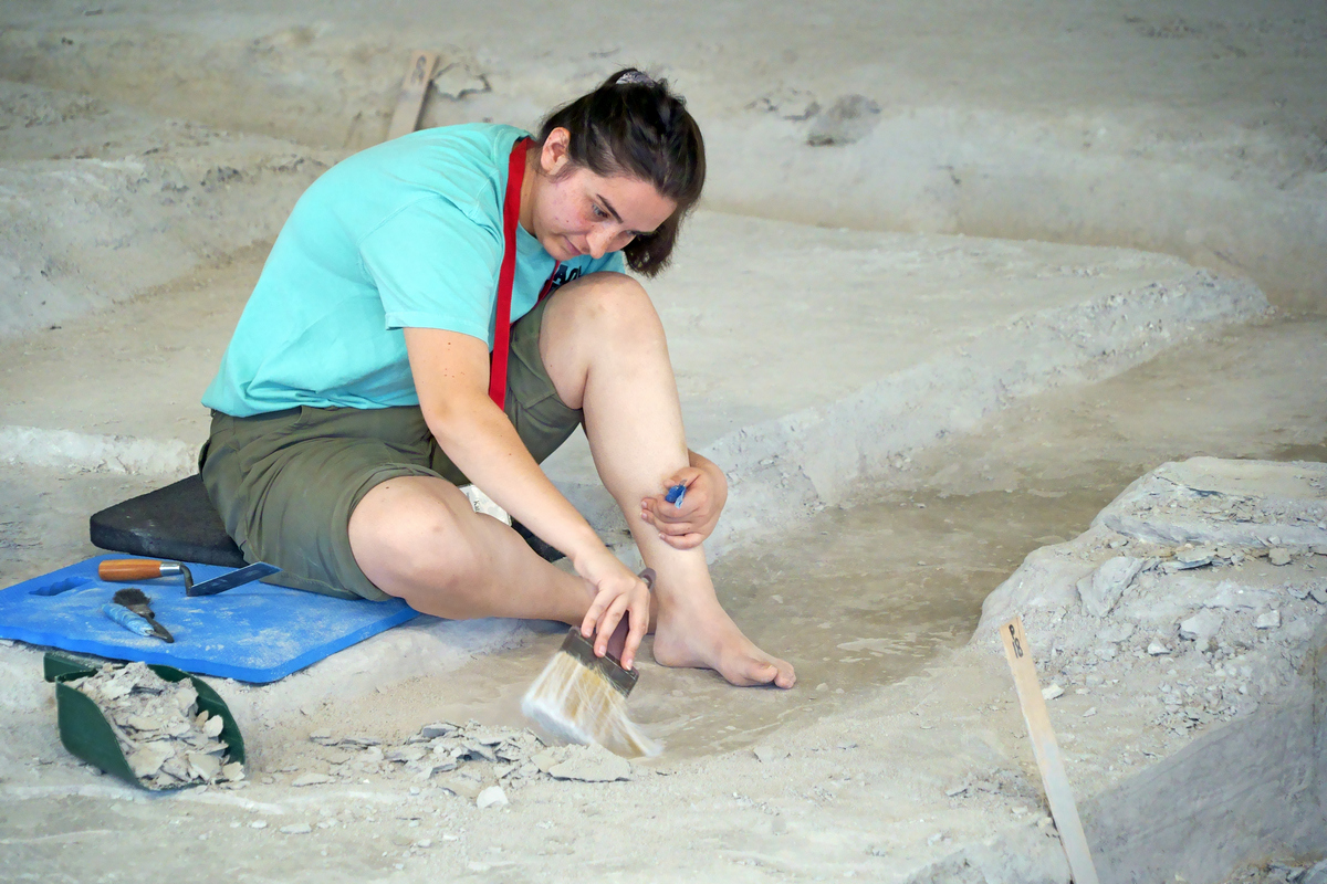 Paleontologist on Site