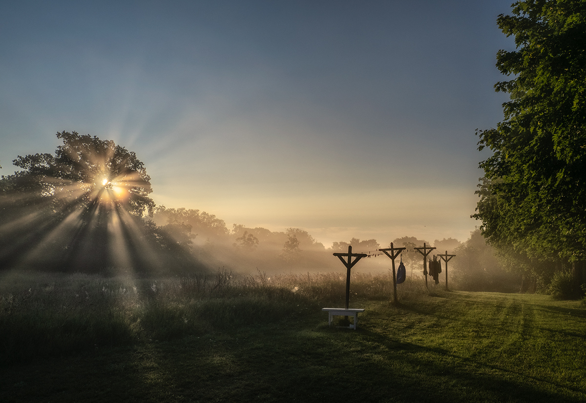 Foggy morning