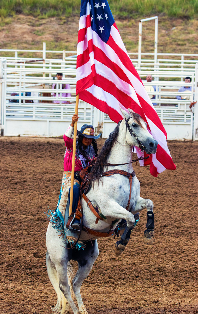 Horse with Flag