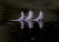 Three Feathers In The Pond