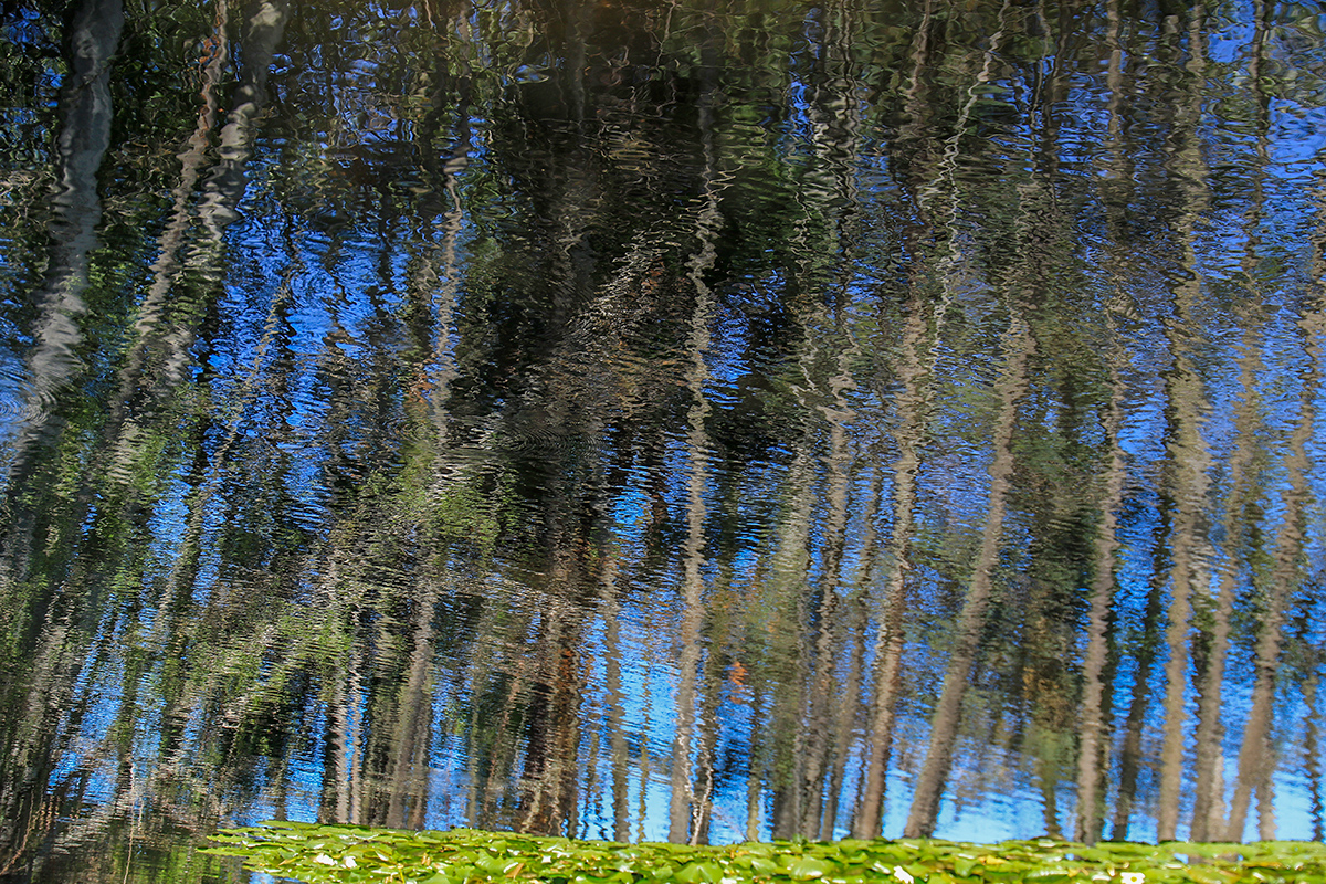 winds on water 