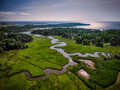Tidal Marsh, Bluefish River