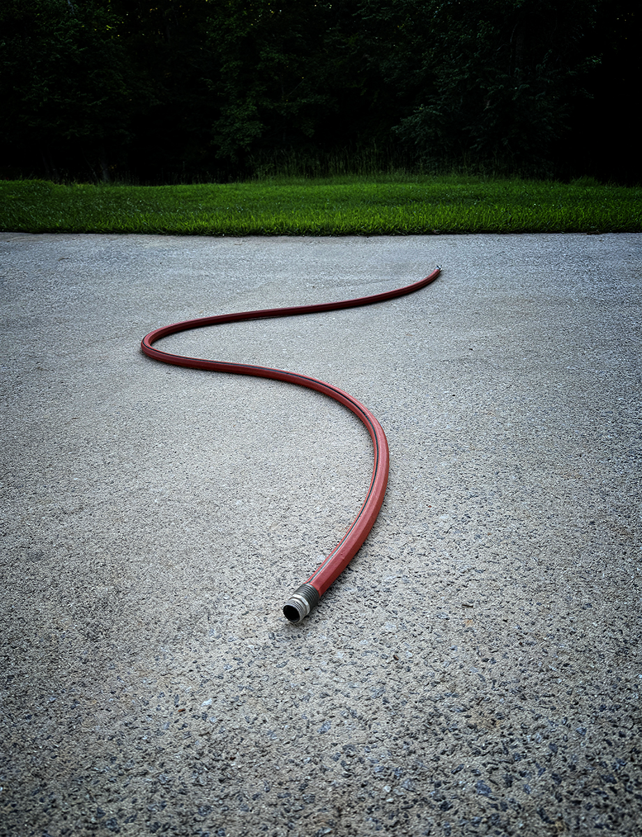 Snake.  On Cement.