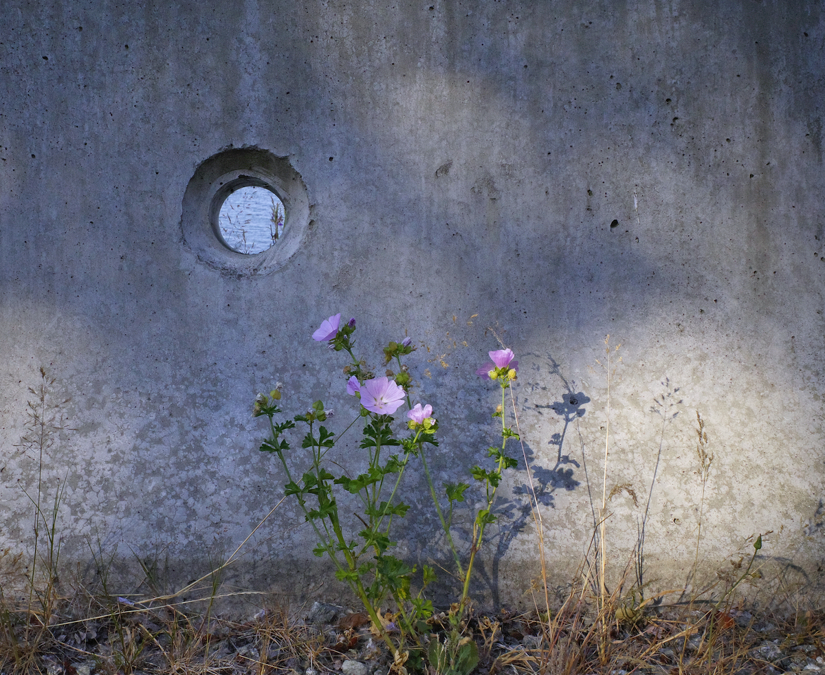 roadside portal