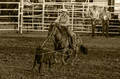 Horse & Cattle Sepia