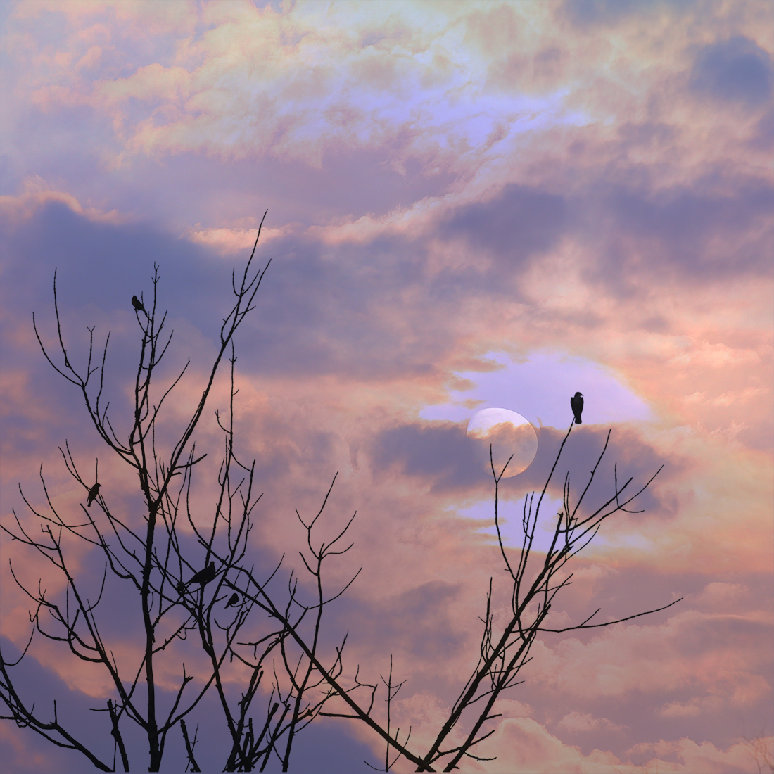Crepuscule with Nellie