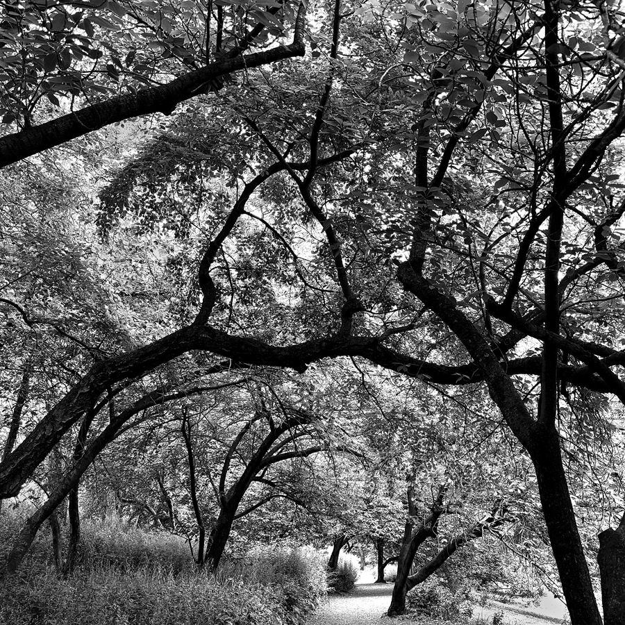 A place to remember