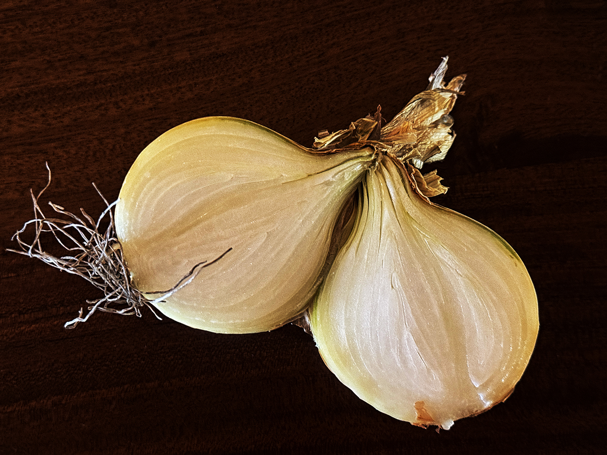 Onion