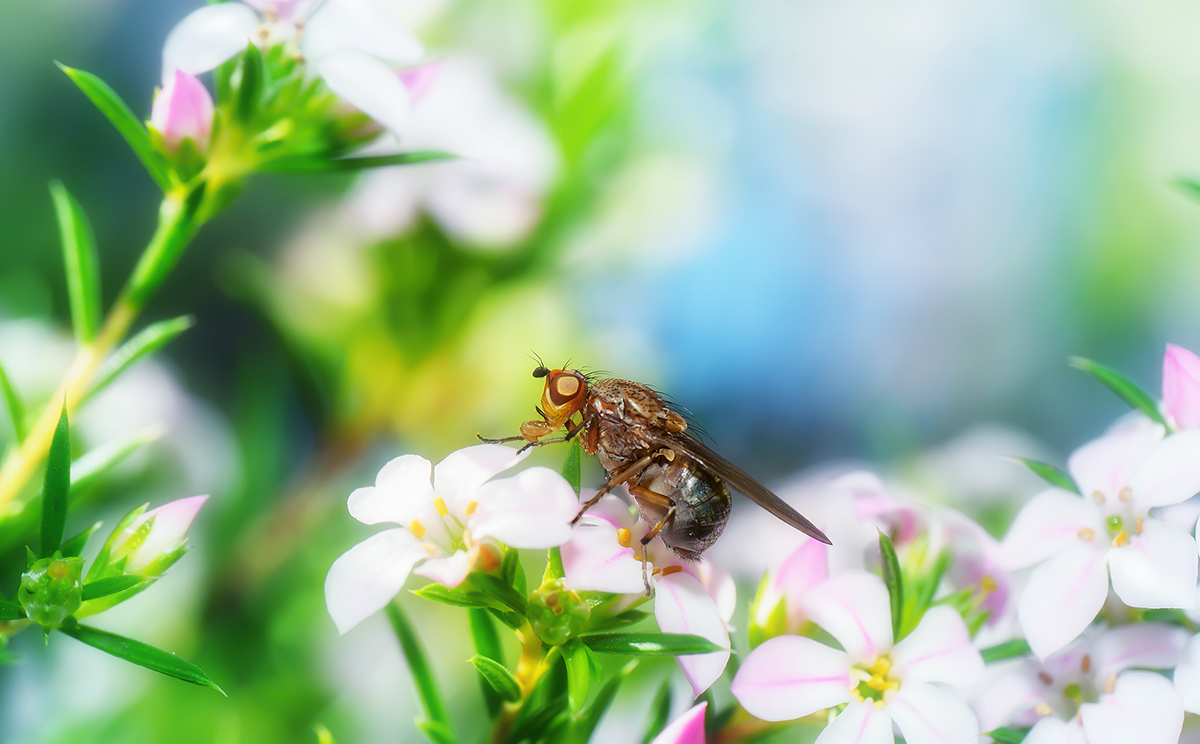 our beautiful world