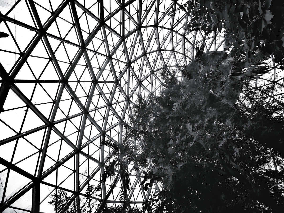 Silent Running