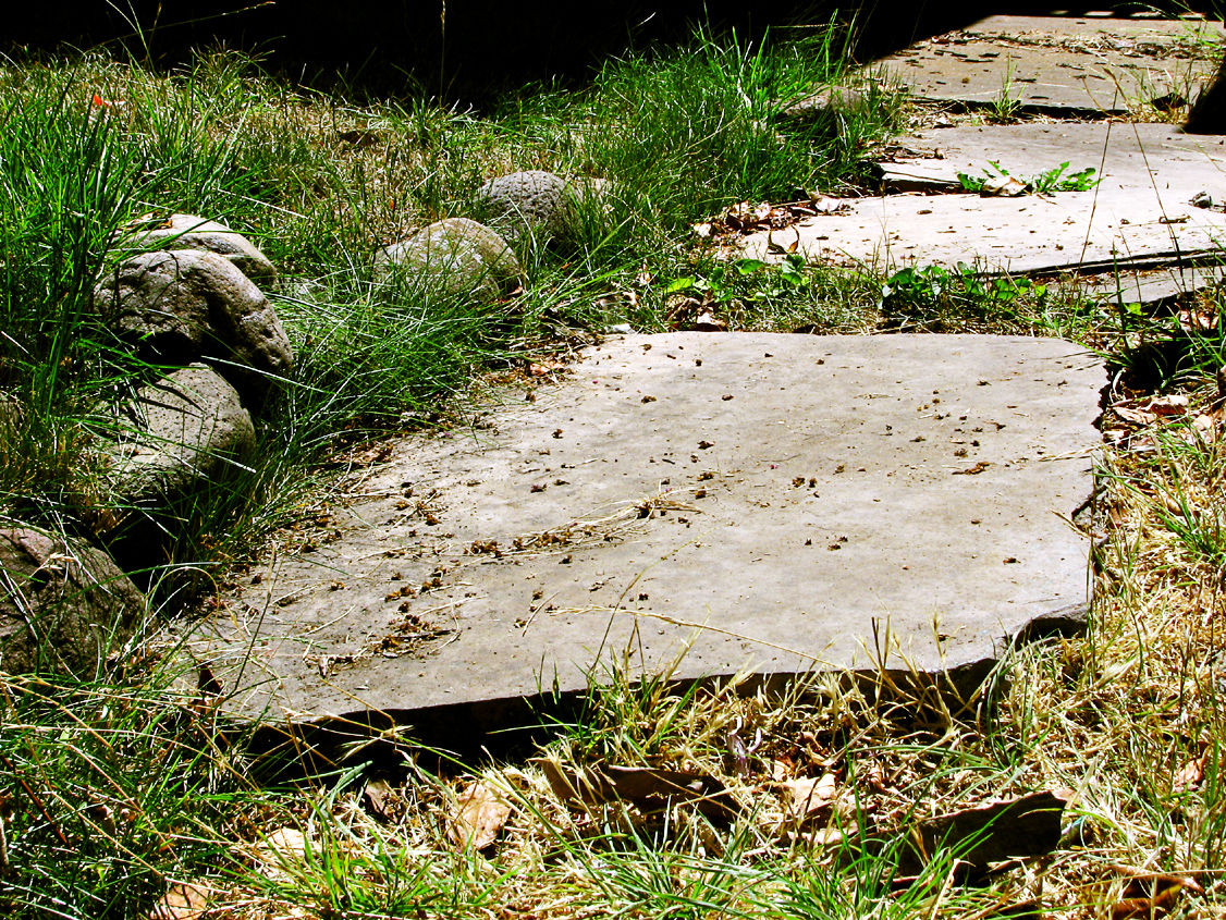 Flagstones and Border Rocks
