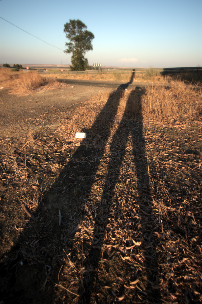 Shadows_DSC_4948