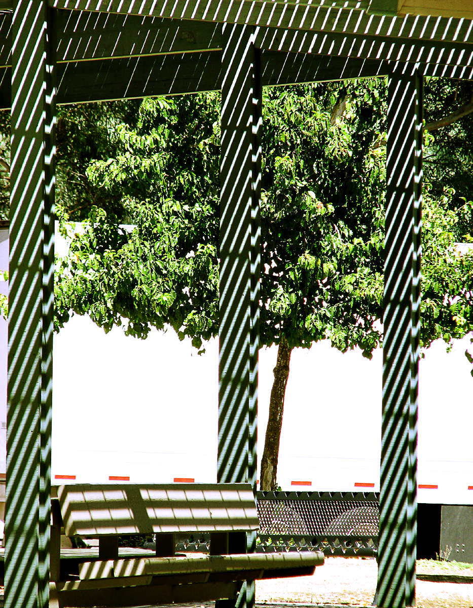 Shadows, Interrupted