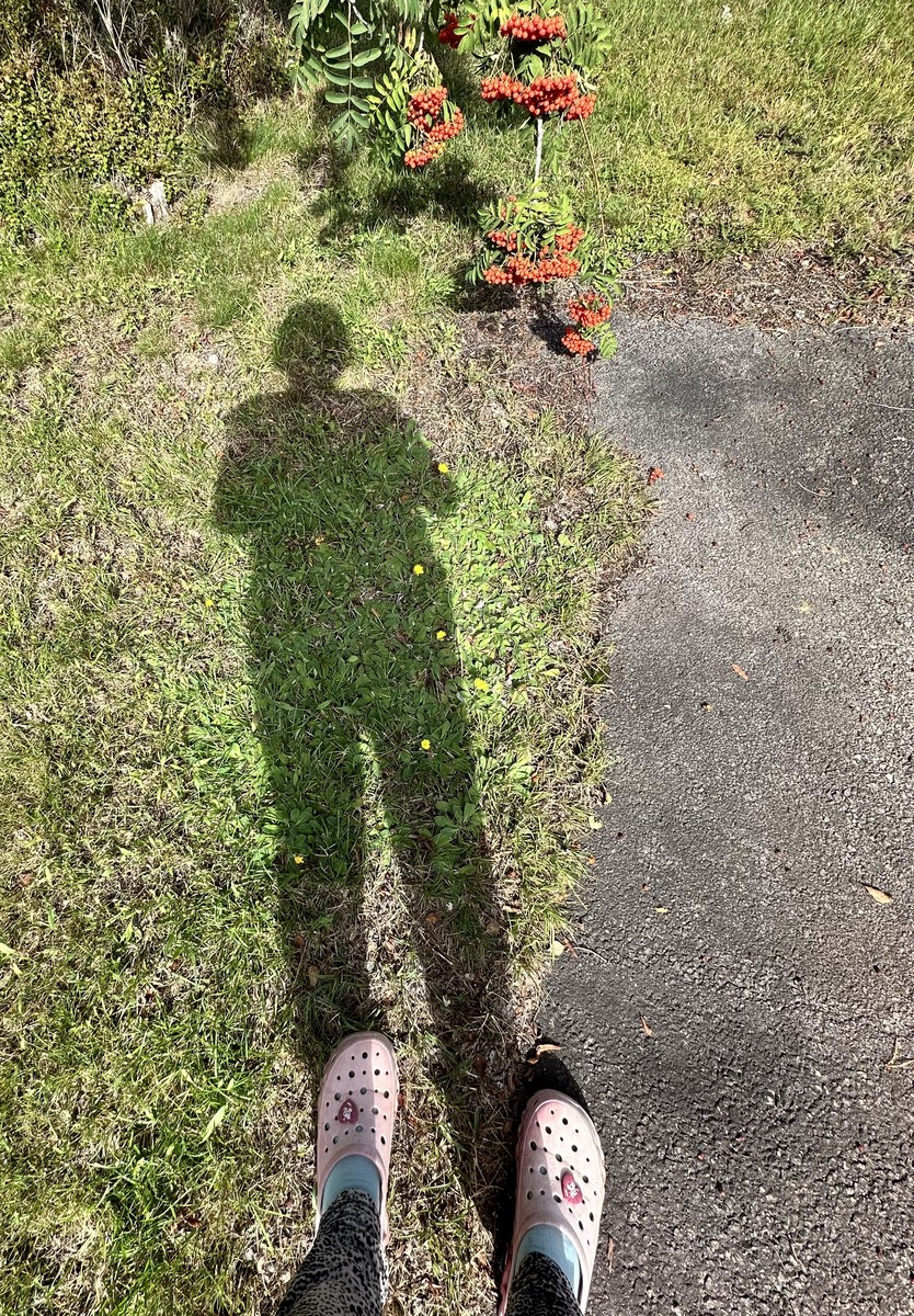 Me myself and my shadow 