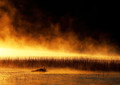 On fire