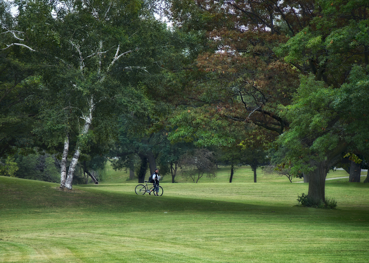 A walk in the park