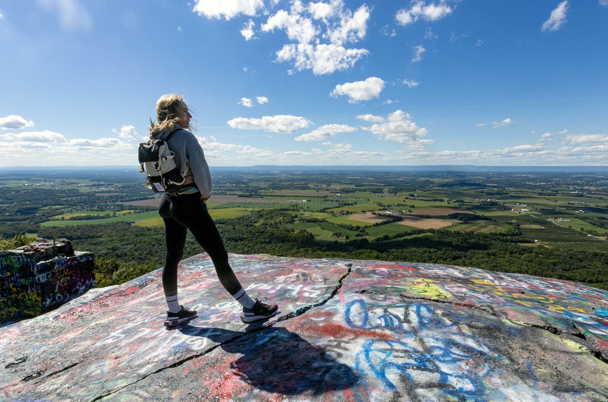 Enjoying The View