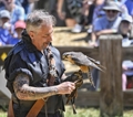 Falcon Handler