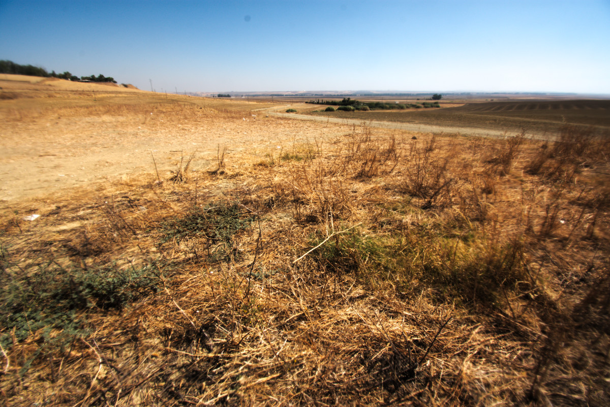 Challenge_Wide_Open_Spaces_DSC_4983