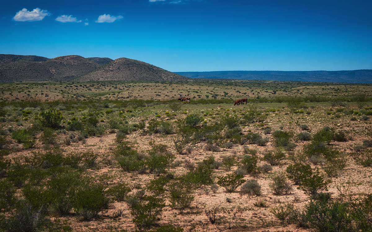 Grazing space