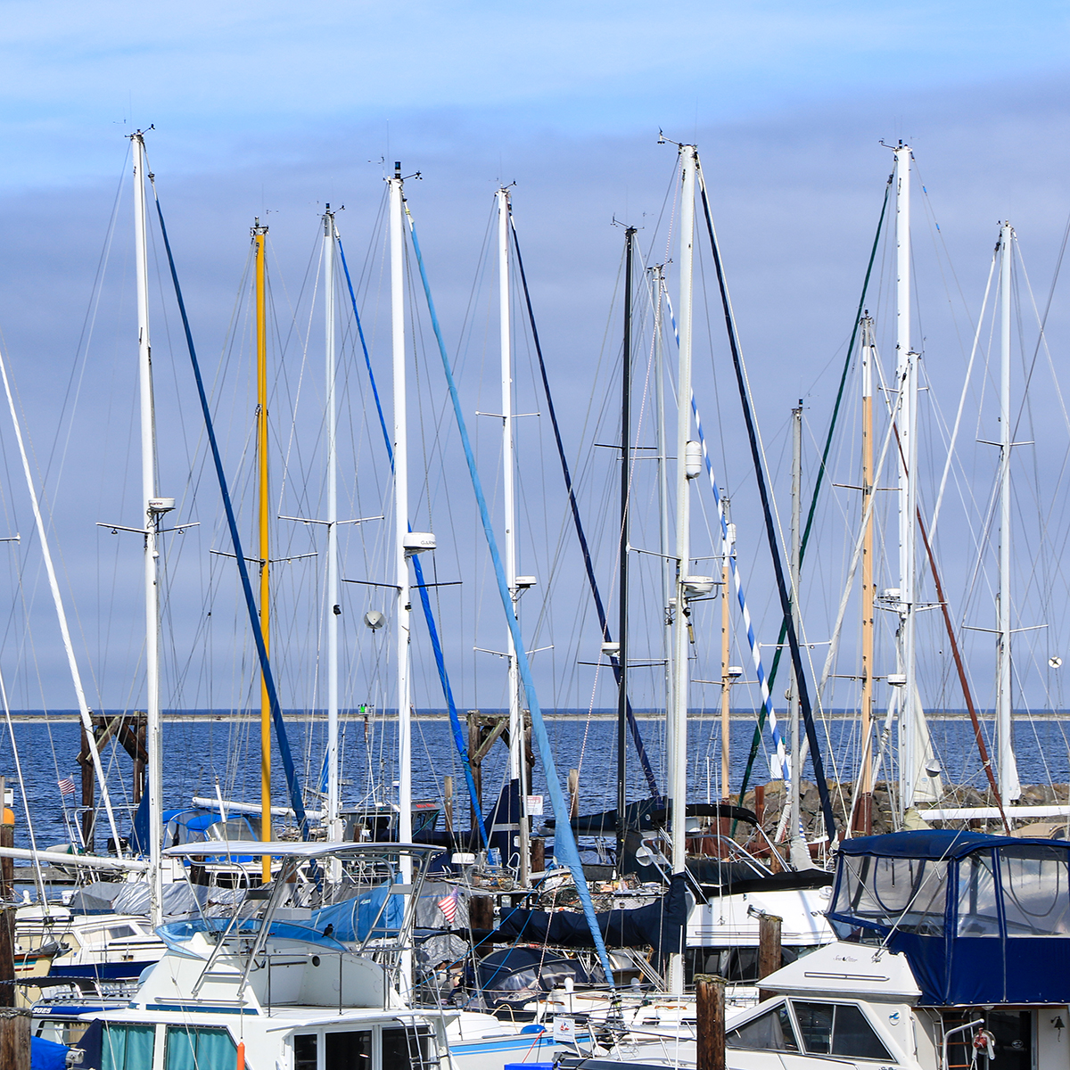 Masts @ Midday 