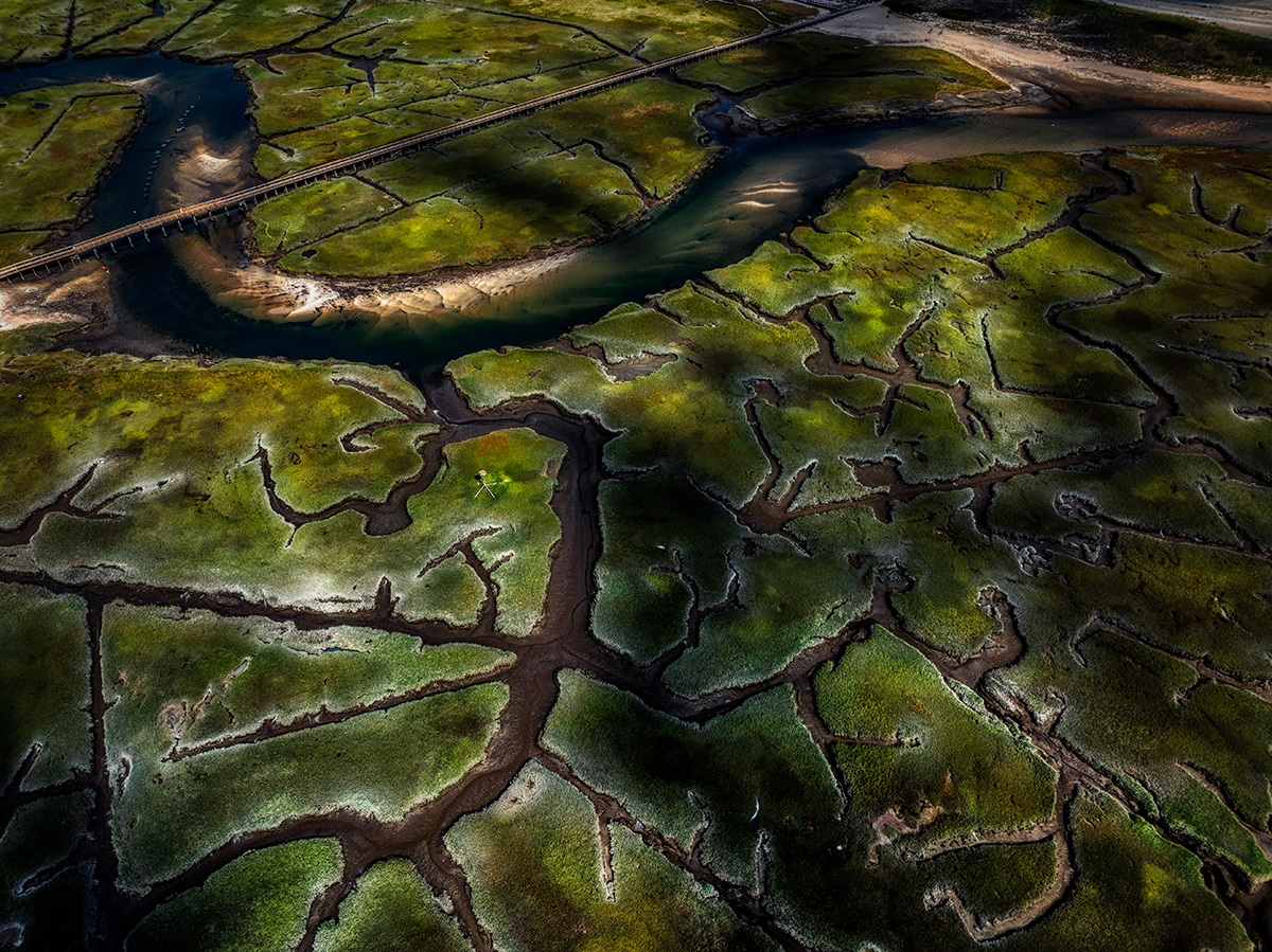 Cloud Shadows & Salt Marsh, Midday Light