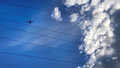 Flight Path