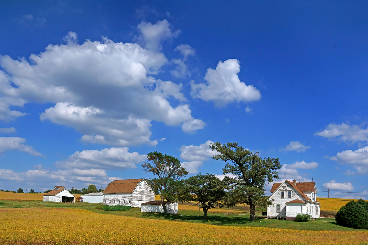 Autumn in Nebraska - Farmland and Sky