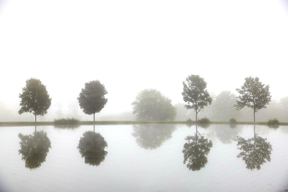 Misty Morning