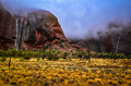 Rain Clouds Over Uluru